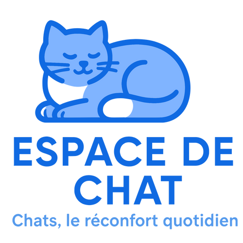 Espace De Chat